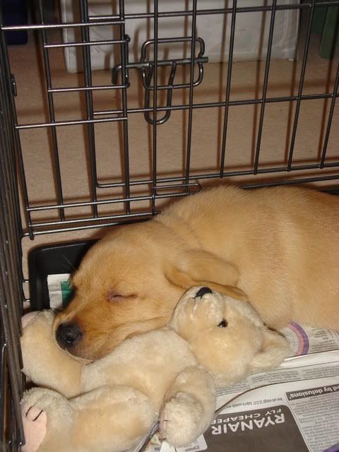 DSC00510.jpg