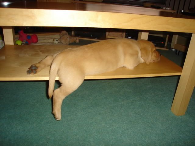 DSC00543.jpg