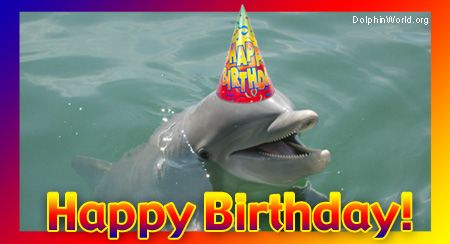 [Image: dolphin-birthday_zps6be799fc.jpg]