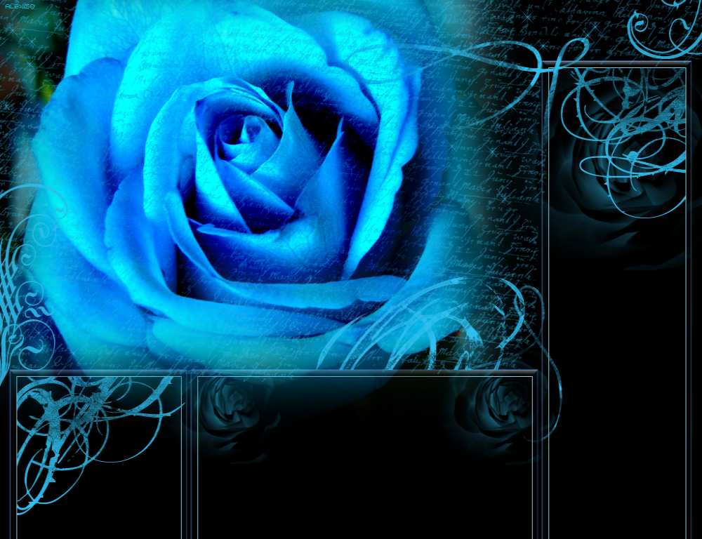 Immagine1BlueRose.png blu rose image by Alessio_83
