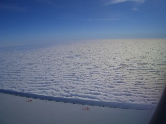 Immagine165.jpg