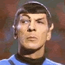 spockeyebrow.gif