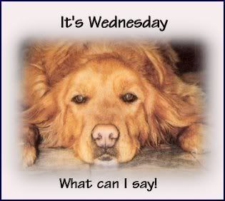 wednesday.jpg