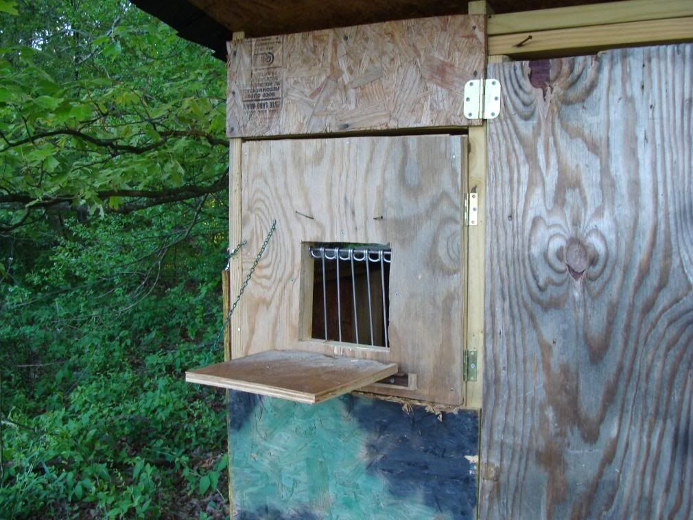 Quail pens....... GON Forum