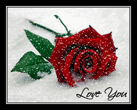 Love You, Animated snow falling on a single red rose and an anonymous love quote: 