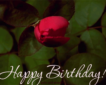 Happy Birthday, An animated gif image of a red rose blooming and an anonymous birthday greeting: " Happy Birthday! "