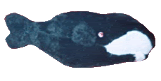Bowhead Whale Avatar