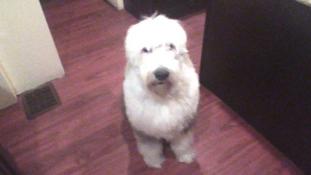 2012-11-29-170821.jpg