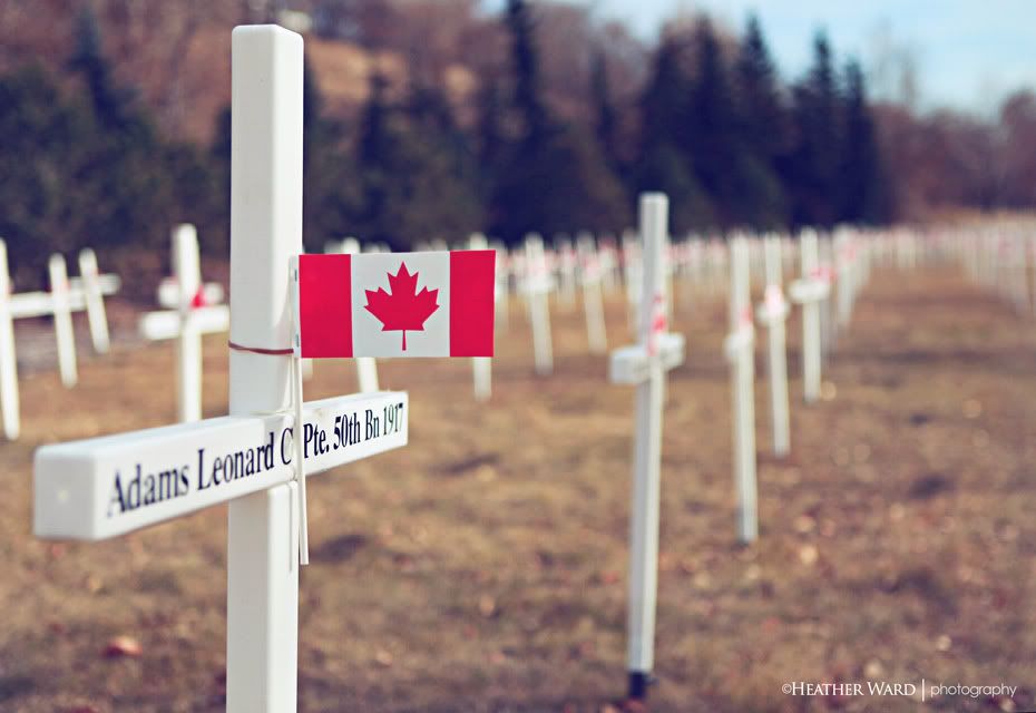 Today is November 11th Remembrance Day On this day and the days leading 