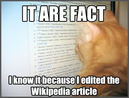 Wikipedia_cat.jpg