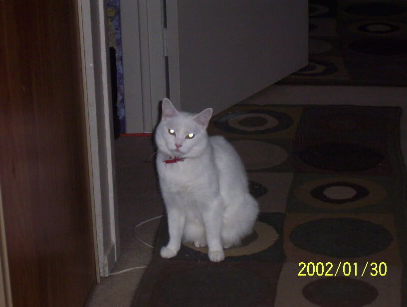 100_0189.jpg