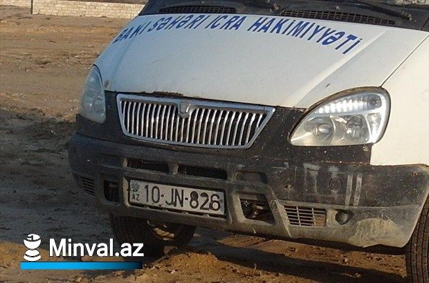 Найдены убийцы собак с курдаханского приюта (ОБНОВЛЕНО ФОТО)