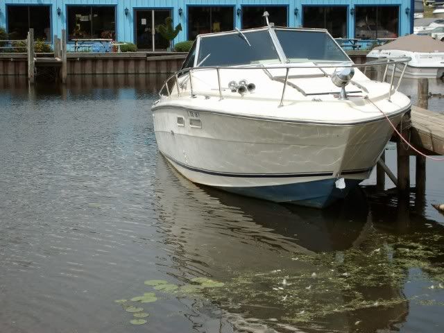 SeaRay240SRV.jpg