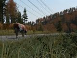 th_arma22009-06-0216-53-48-26.jpg