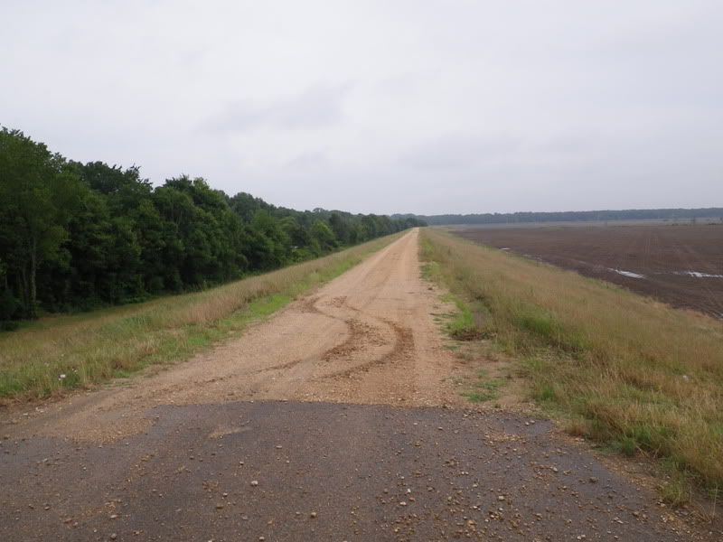 More Mississippi Mud!