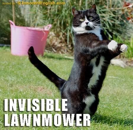 invisible lawn mower Pictures, Images and Photos