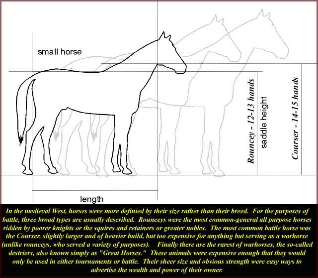 horsescopy.jpg