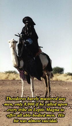 tuareg-horsecopy.jpg