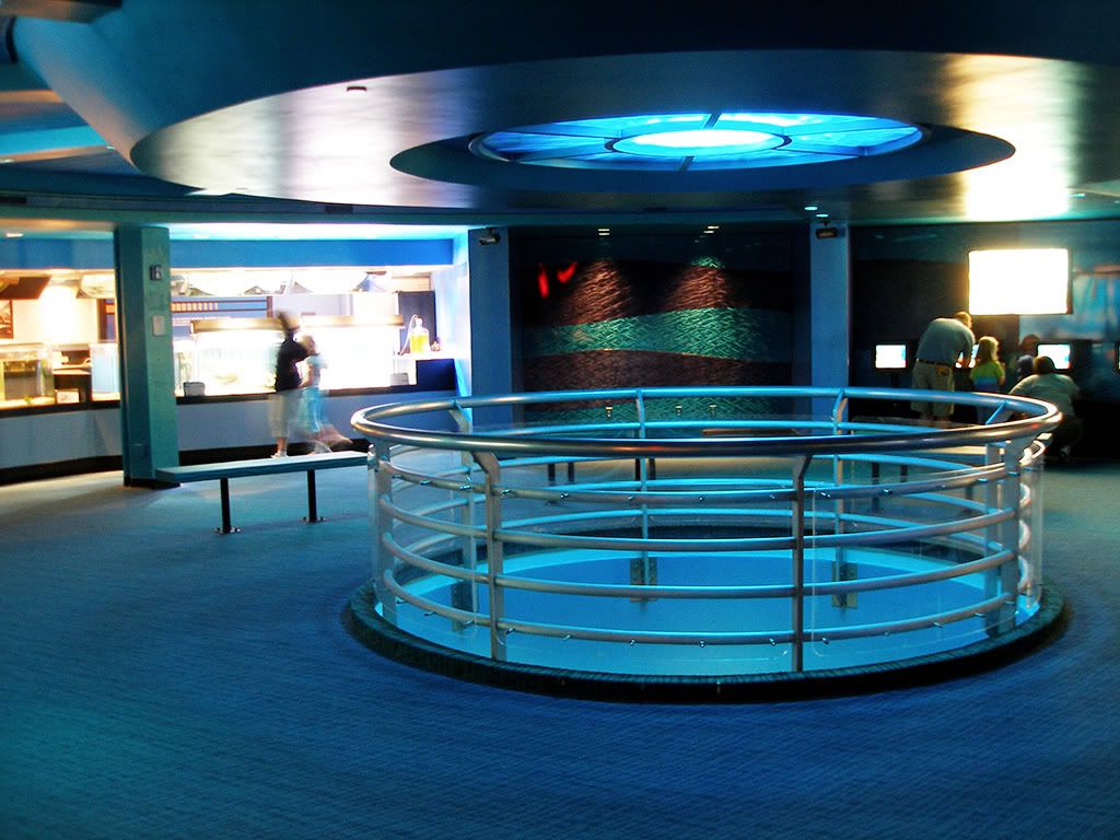 Epcot_Seas1.jpg