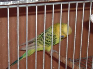 2008_0110Image0003.jpg