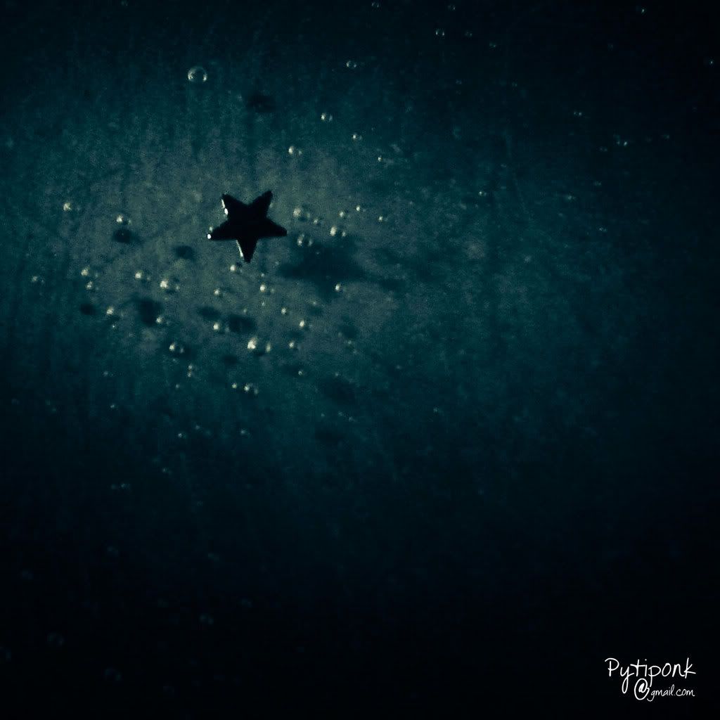 A star under the sea