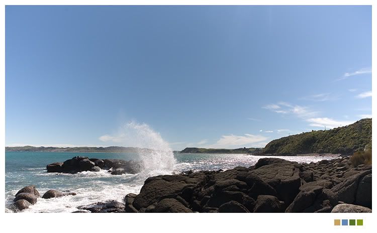 IMAGE: http://i238.photobucket.com/albums/ff212/pastey65/IMG_0328.jpg