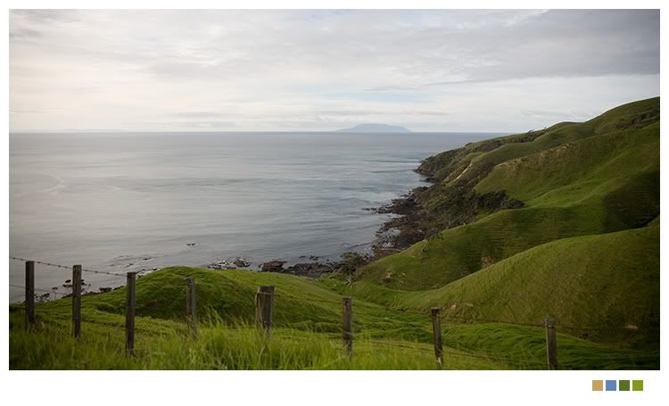 IMAGE: http://i238.photobucket.com/albums/ff212/pastey65/IMG_0454.jpg