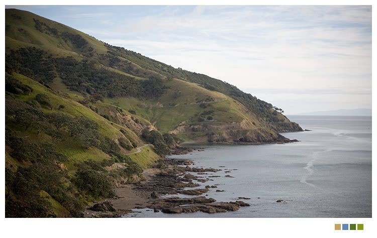 IMAGE: http://i238.photobucket.com/albums/ff212/pastey65/IMG_0458.jpg