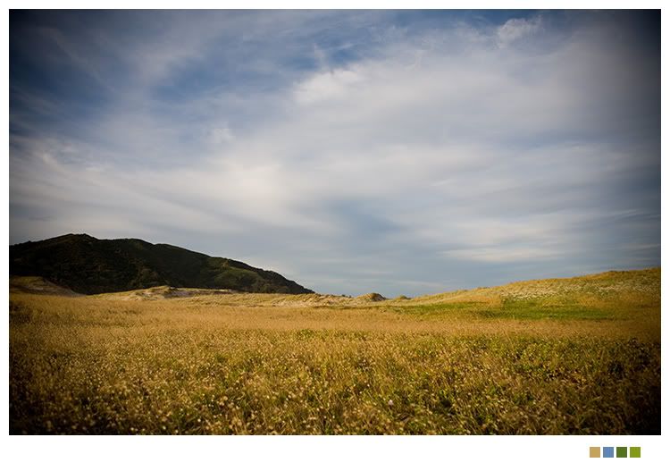 IMAGE: http://i238.photobucket.com/albums/ff212/pastey65/IMG_0474.jpg