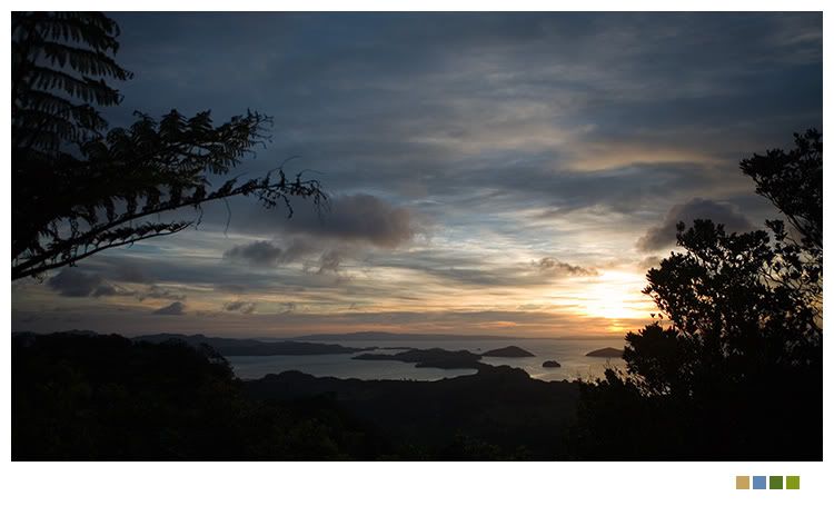 IMAGE: http://i238.photobucket.com/albums/ff212/pastey65/IMG_0490.jpg