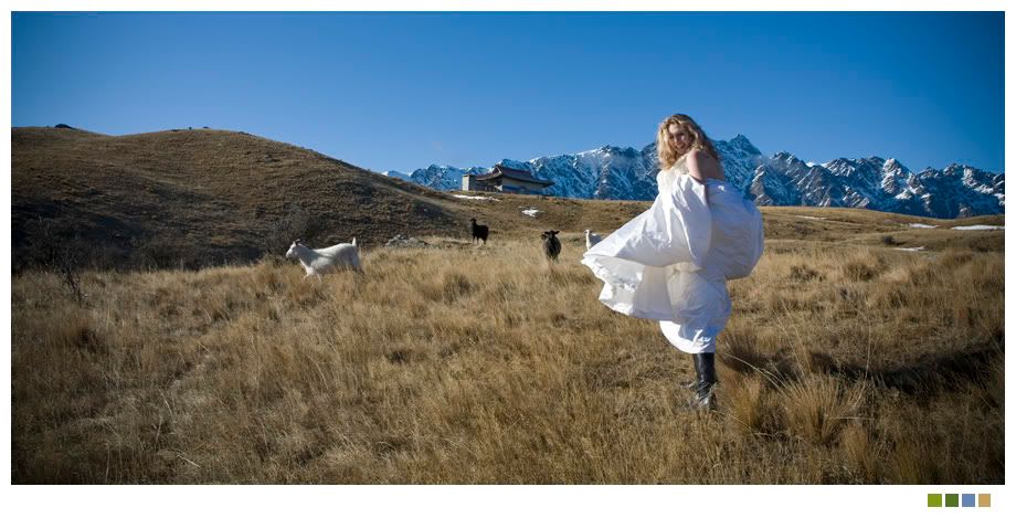 IMAGE: http://i238.photobucket.com/albums/ff212/pastey65/IMG_8459.jpg