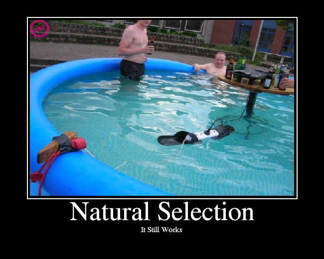 NaturalSelection-1.png