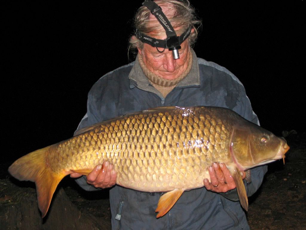 26lb common