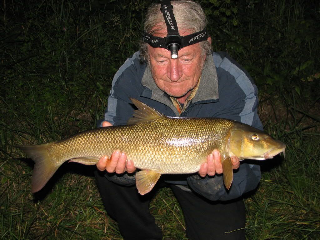 River Lot 6lb8oz Barbel