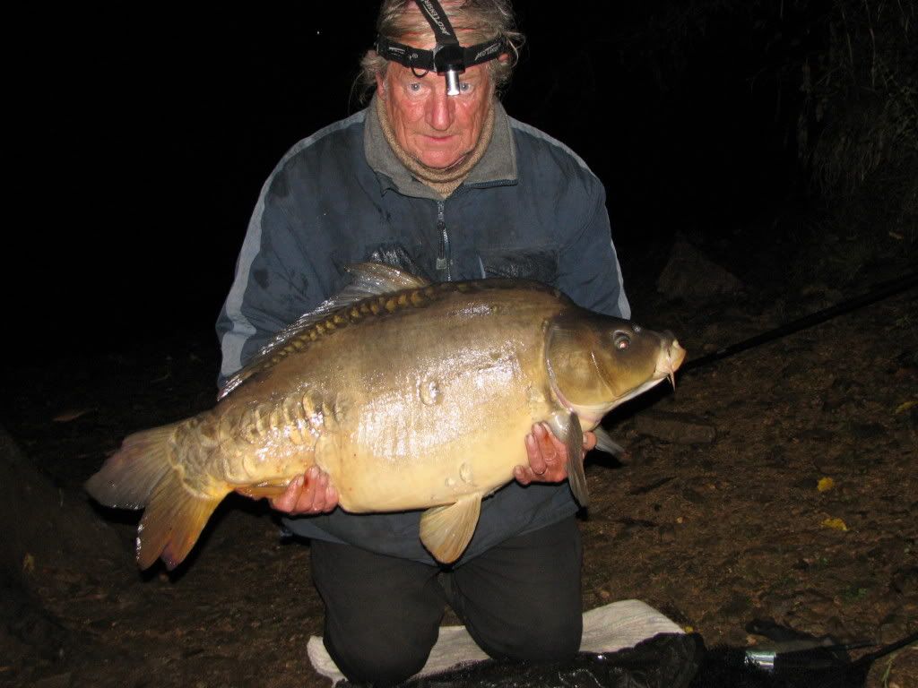 Rlot 37lb