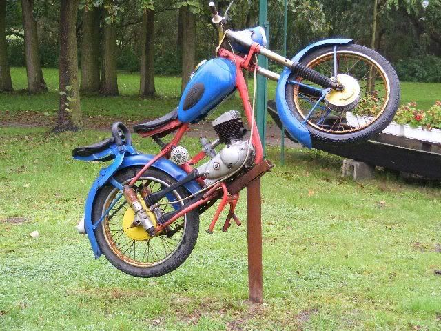 Bild