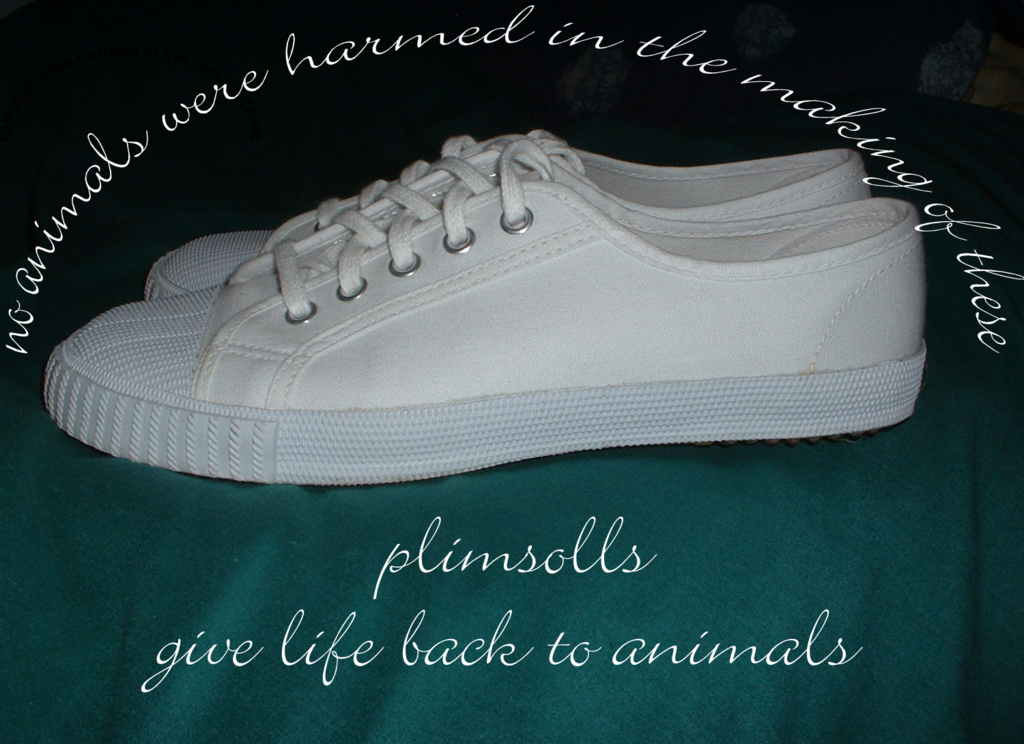 my t-shirt design . white plimsolls Pictures, Images and Photos