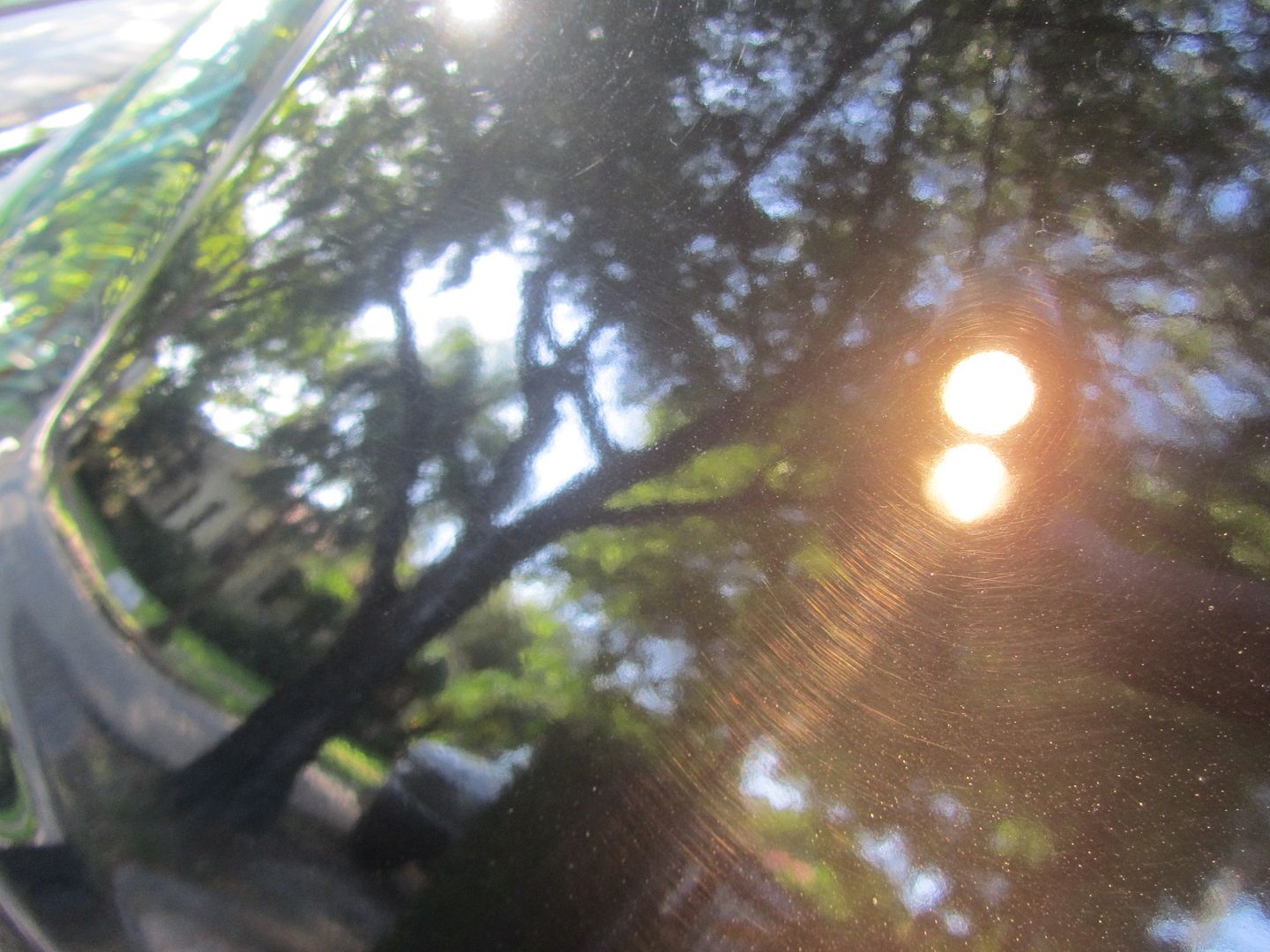 013-8.jpg