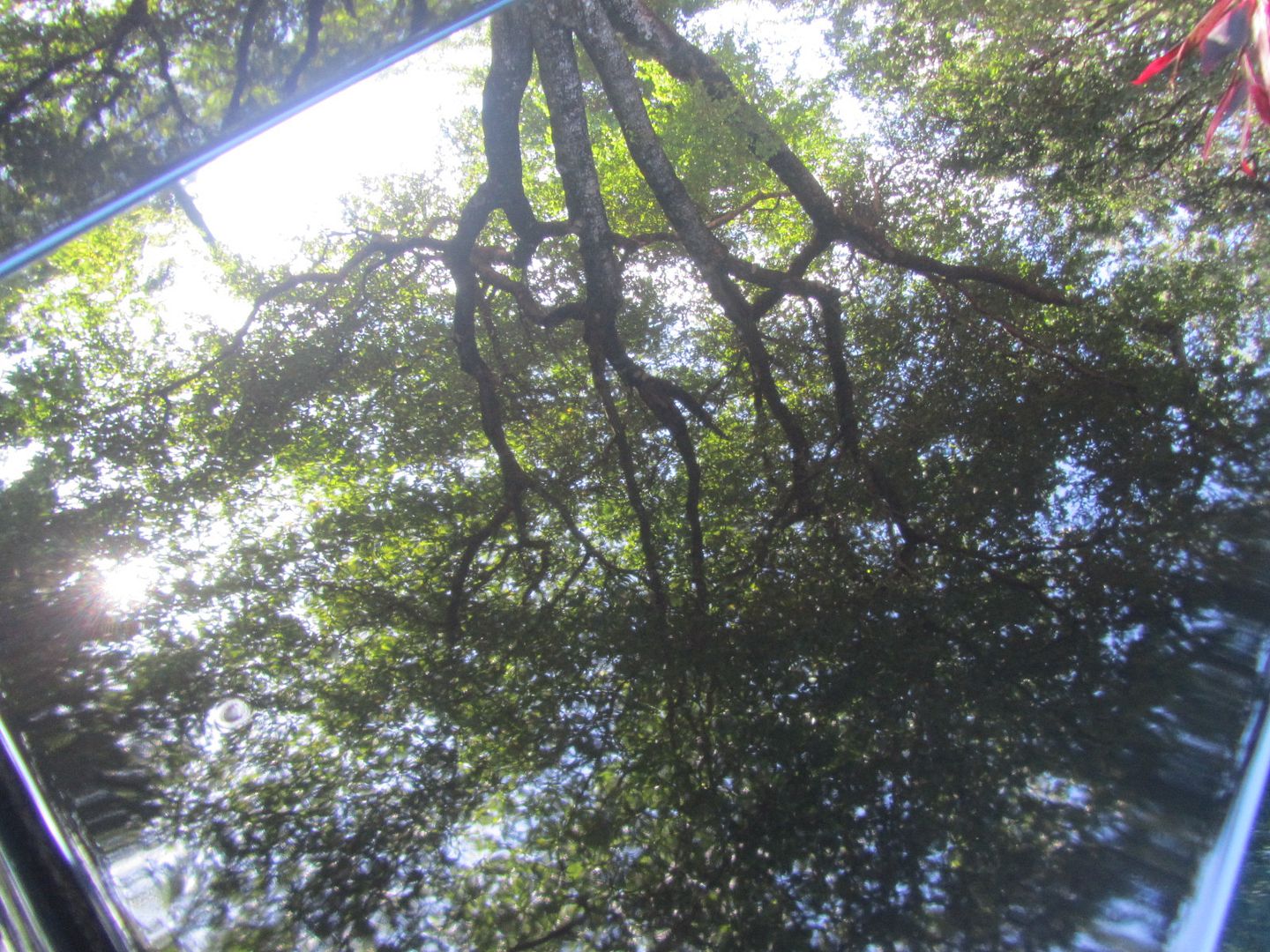 022-8.jpg