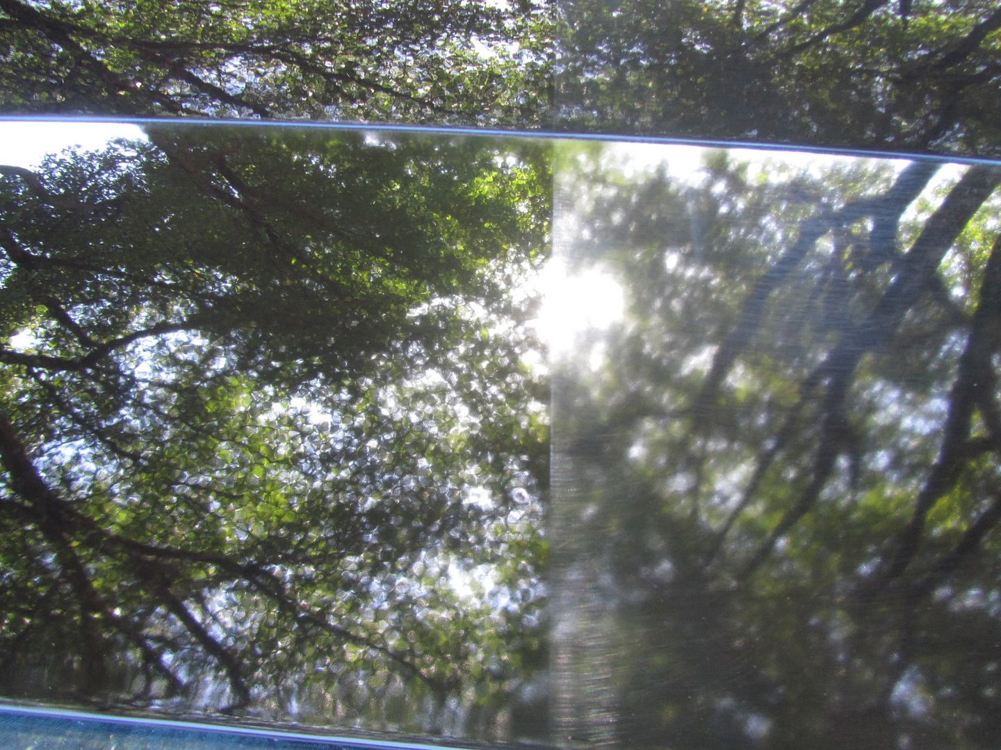 024-7.jpg