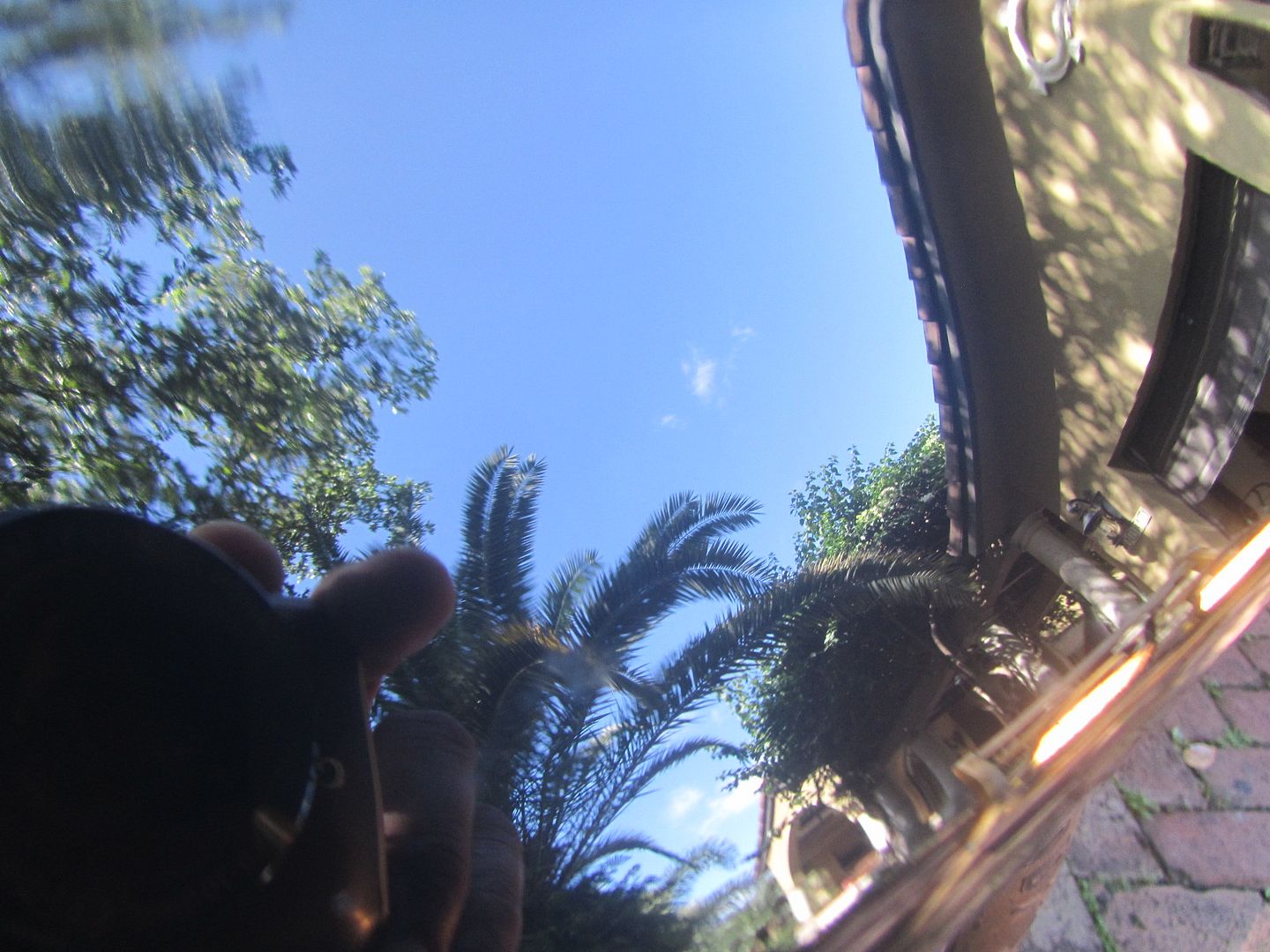 030-7.jpg