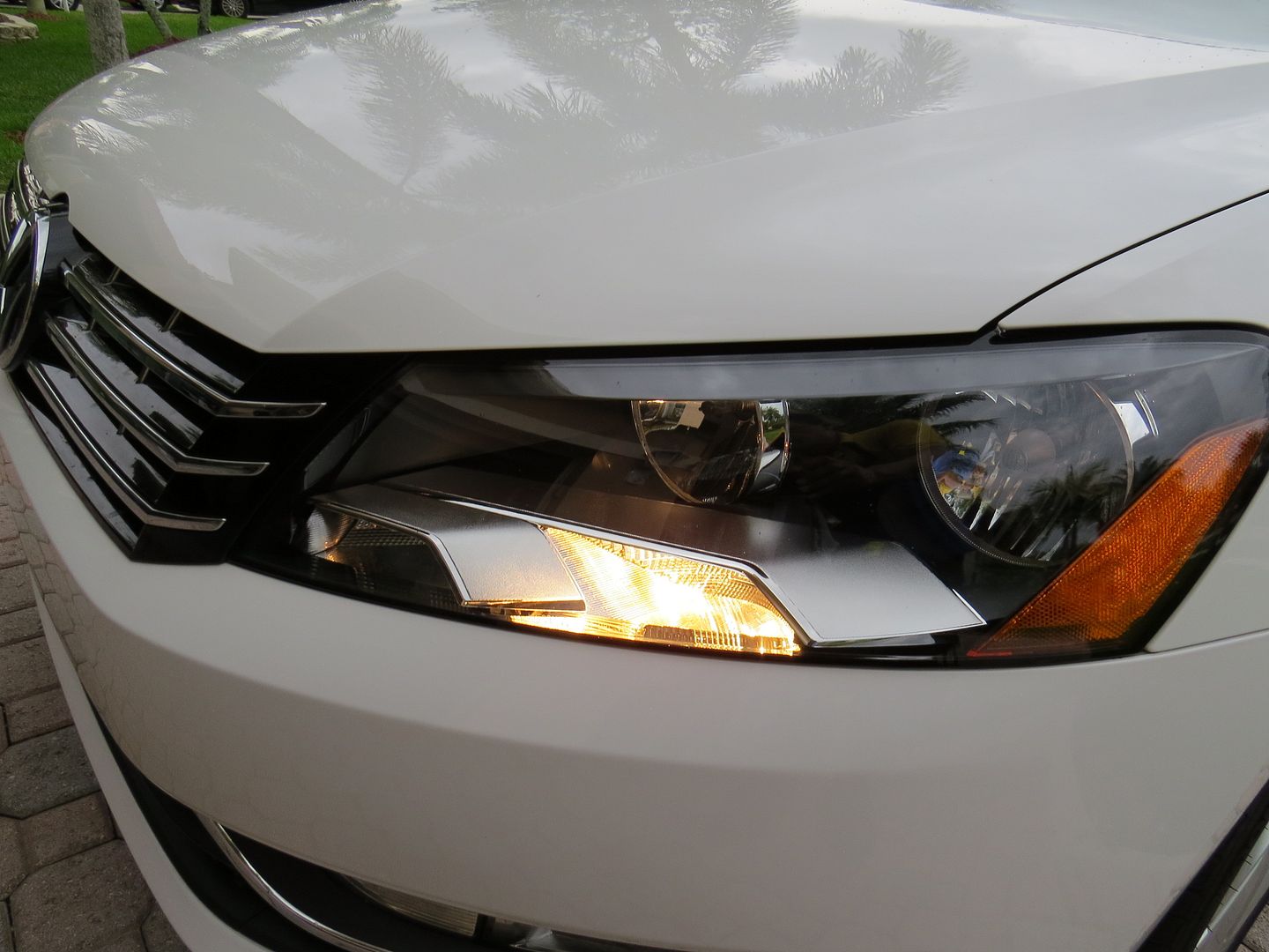 031_zps8e729d10.jpg