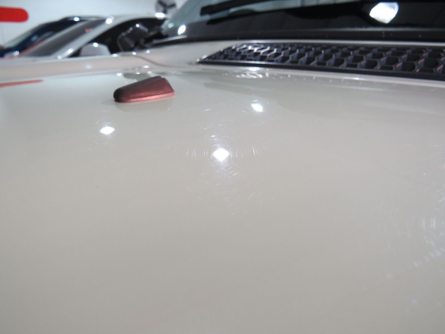 020_zps418498c4.jpg
