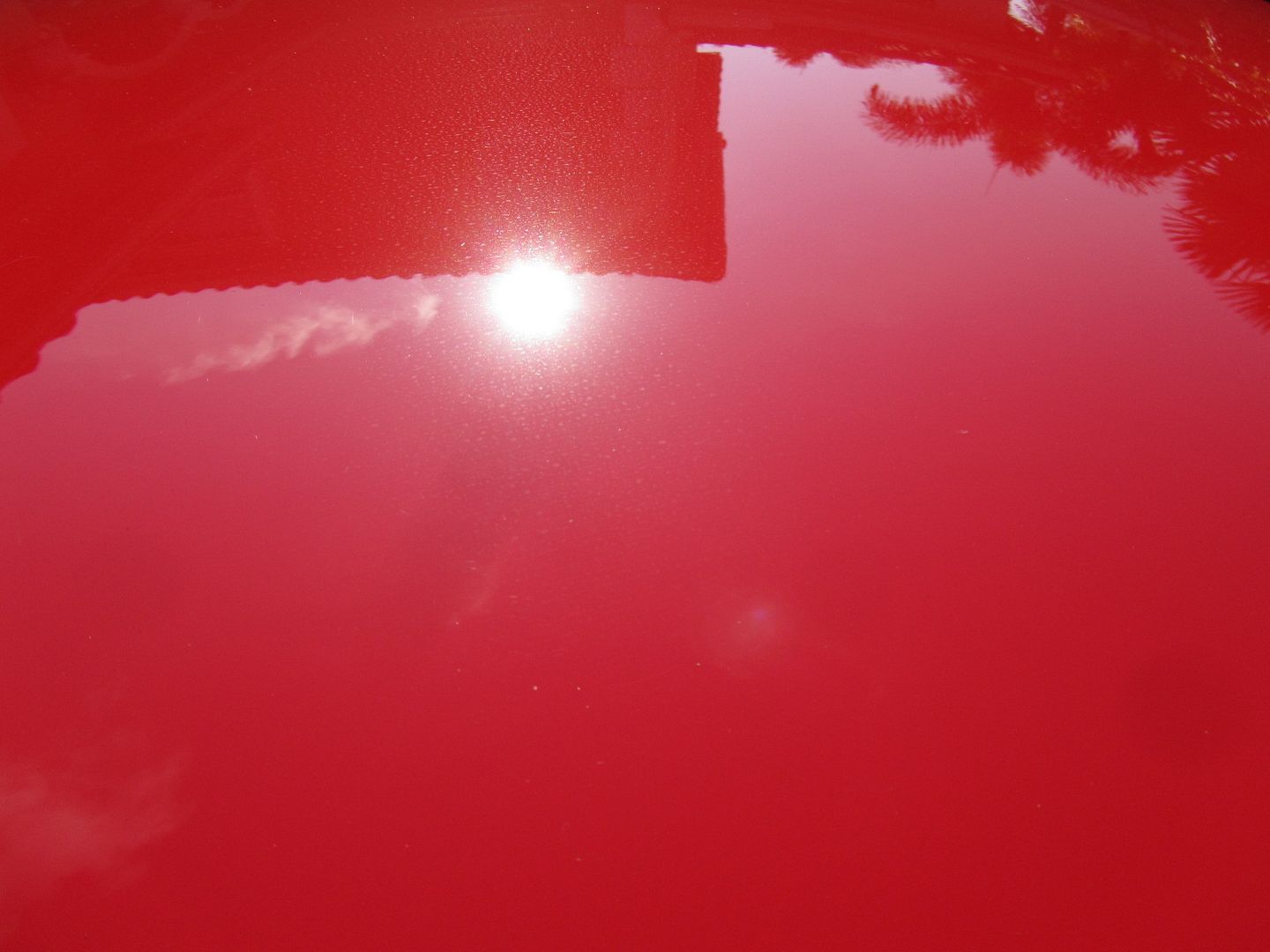 009-9.jpg