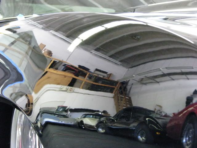 IMG_0880.jpg