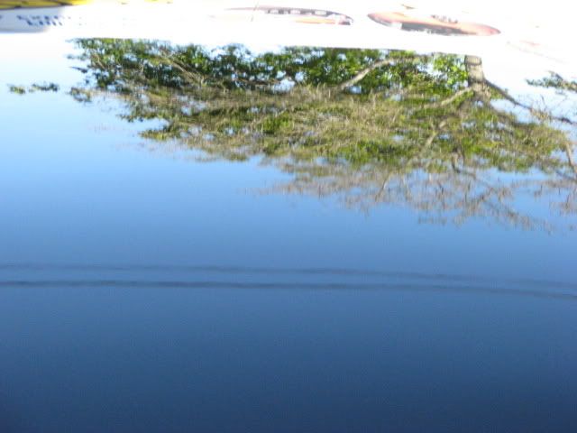 IMG_0894.jpg