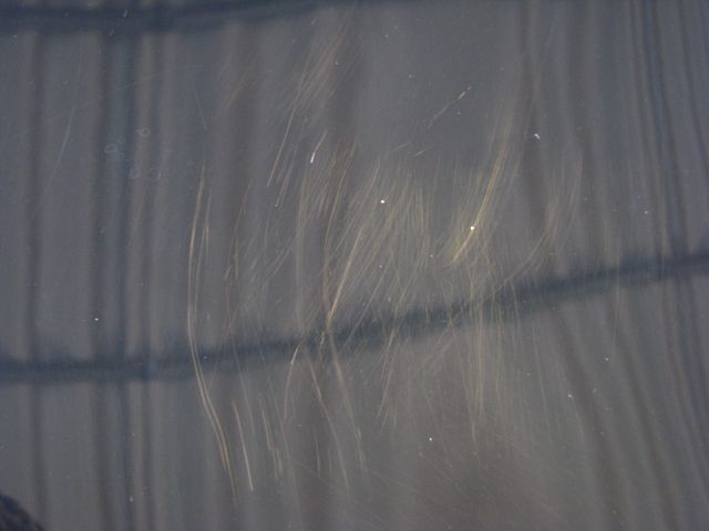 IMG_6047.jpg