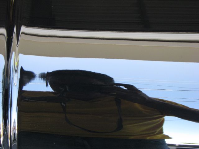 IMG_6053.jpg