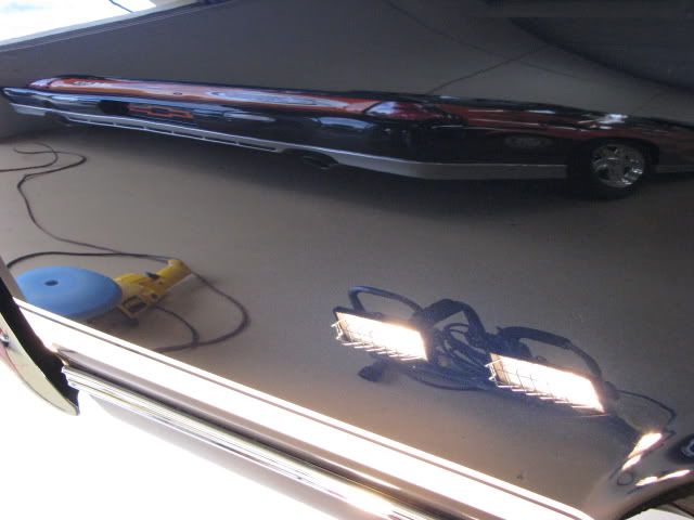 IMG_7985.jpg