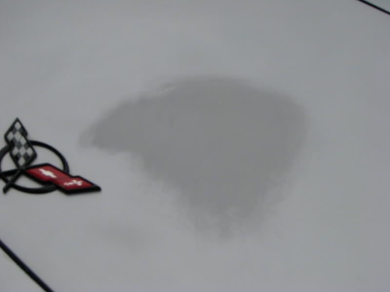 IMG_4248.jpg